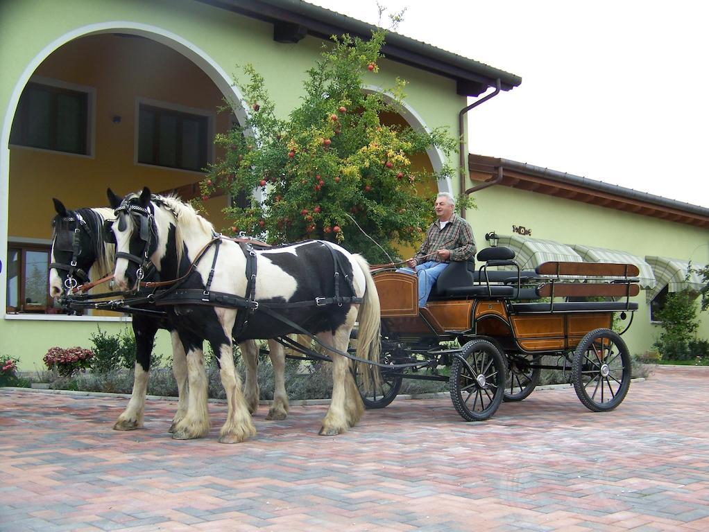 Villa Agriturismo Nonna Rina Marcon Exterior foto